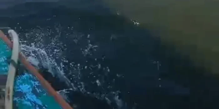 Nelayan Mayang Keluhkan Perubahan Warna Air Laut Dugaan Akibat Penggarapan Hutan dan Gunung Pulau Penebang;Ini Kata Yayat Darmawi
