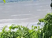 PETI  di desa sungai batu ,mapai ,dan semerangkai  kab.sanggau  semakin marak